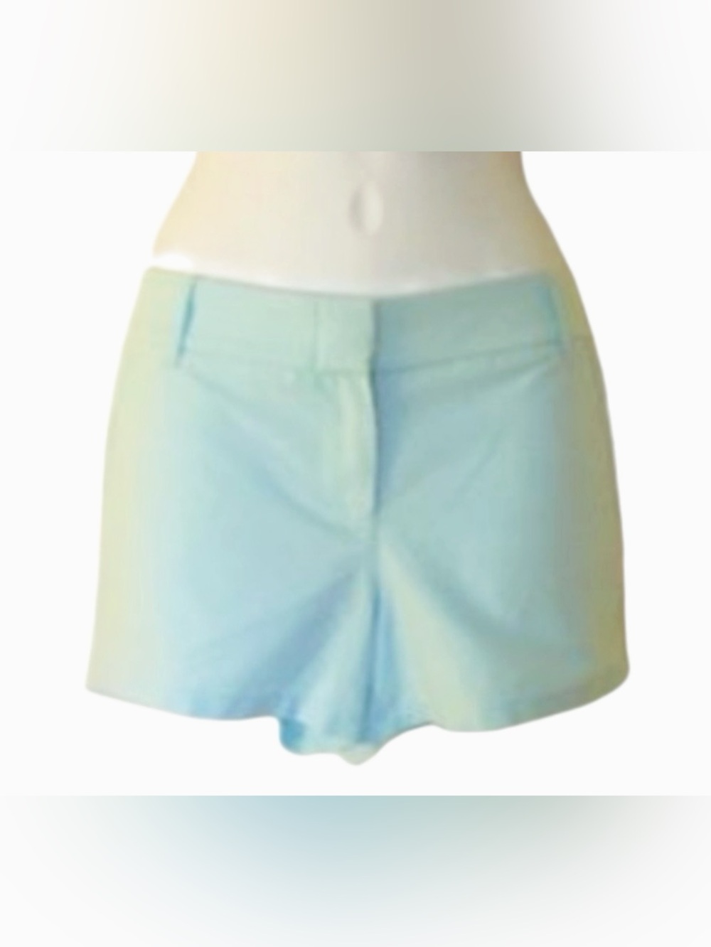 J. Crew Light Blue Tailored Women's Shorts ‘City Fit’